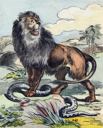 El león. Grabado en "Buffon Alphabet des Animaux". 3ª Serie N 1. Imágenes de Epinal, Epinal, finales del siglo XIX. 16 páginas.