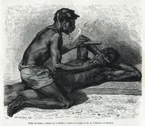 El tamaño de los dientes en el Okanda, dibujo de D. Maillard, para ilustrar la historia de un viaje a Gabón y el río Ogoue en 1875-1877, por Alfred Marche. Grabado en Le tour du monde