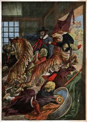 Ataque de los Tigres