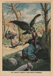 Dos mujeres derrotando a un águila, ilustración de la contraportada de 