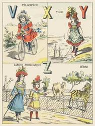 V X Y Z: velocípedo, yola, jardín zoológico, cebra