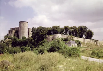 Vista de la Torre de Talbot y el torreón del castillo