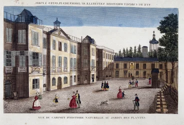 Vista del gabinete de historia natural en el Jardin des Plantes en París