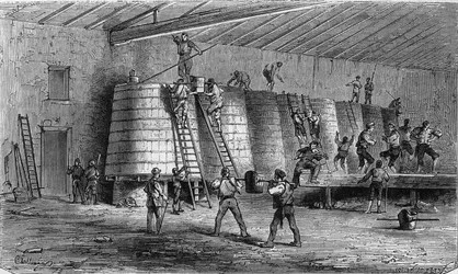 Viticultura en el Medoc: pisado y puesta en cuba. Grabado en "Le Monde Illustre" n°561 del 11 de enero de 1868.
