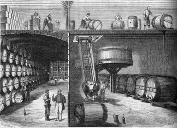 Viticultura: vista interior de las bodegas y talleres de M. P. Morel y F. Sourzac en Burdeos, Gironda (33)