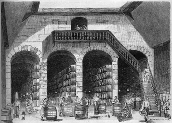 Viticultura: vista interior de las bodegas de M. Cruse et fils frères, Burdeos, Gironda (33)