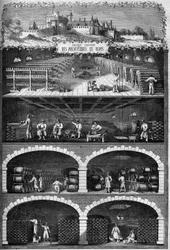 Viticultura: vista de las bodegas de champán en los sótanos del antiguo castillo de los arzobispos de Reims, Marne (51)
