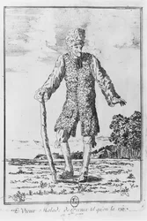 Voltaire en Ferney: 