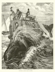 Voyage a Dos de Baleine (grabado)