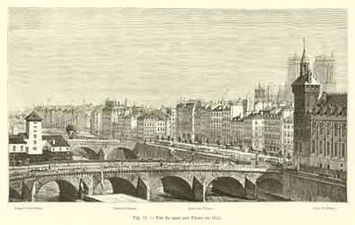 Vista del muelle aux Fleurs en 1855