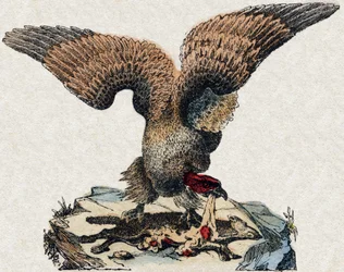 Buitre. Grabado en “Alfabeto de animales salvajes”. 9ª Serie. Imágenes de Epinal, Pellerin, impresor-editor, circa 1870. Colección privada.