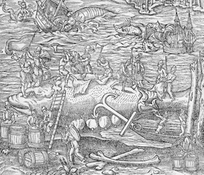 La pesca de la ballena, Ilustración de "Cosmographie Universelle", de André de Thevet