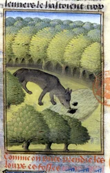 Lobo - en "Libro de Caza de Gaston Phoebus, Conde de Foix, Señor de Béarn"