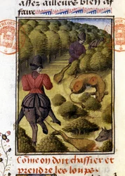 Caza de lobos - en "El libro de caza de Gaston Phoebus, Conde de Foix, Señor de Béarn"