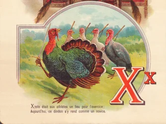 X: Xyste era un lugar para que los atletas se ejercitaran; hoy, este pavo va allí como un novato
