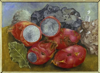 Pitahayas