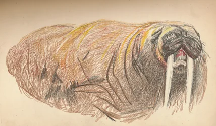 Somnoliento y enfadado, 12 de septiembre de 1893. Boceto a pastel, 1893, 1897