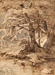 estudio de árboles