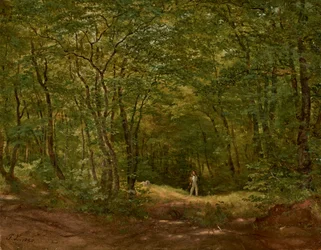 Caminantes en un paisaje forestal