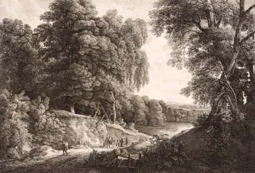 paisaje forestal