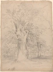 Un árbol antiguo con figuras en un paisaje