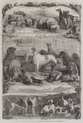 La exposición de perros deportivos y otros en el Horse Repository, Holborn, animales premiados