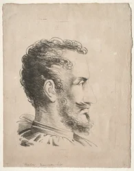 Cabeza de perfil