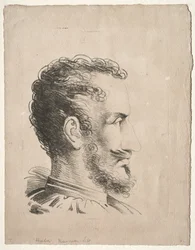 Cabeza de perfil