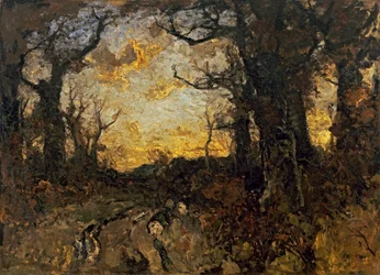tarde en el bosque