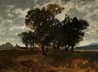 Paisaje con un grupo de árboles.