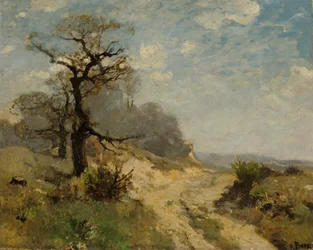 paisaje con camino