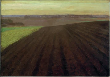 Campos de páramo, 1900