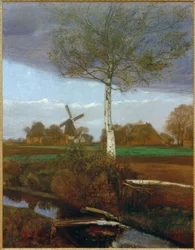 Otoño en el páramo