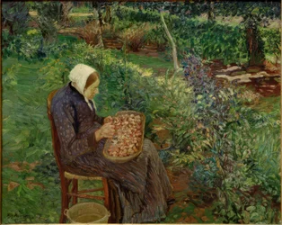 Mujer pelando en el jardín