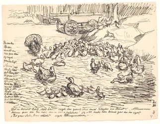 Los otros patos...