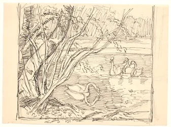 Un lago con cuatro cisnes