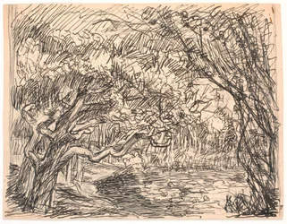 Un lago en el bosque