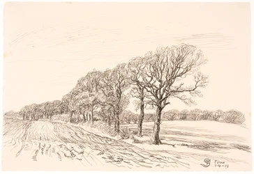 Paisaje con Robles. Føns