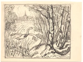 Paisaje con cisne despegando