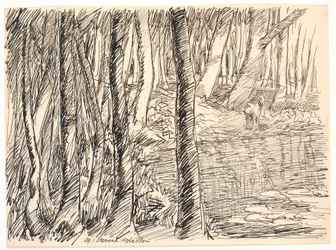 Lagos profundos en el bosque