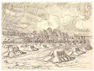 Alrededor del campo y el prado había grandes bosques