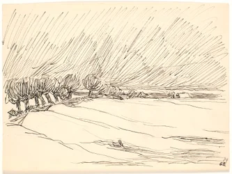Paisaje invernal con álamos