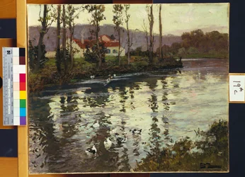 Paisaje fluvial con patos
