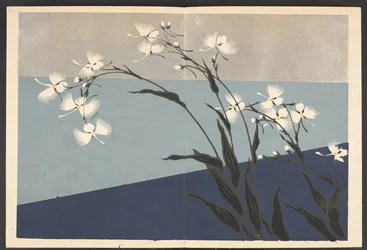 Shasei sôka môyô, Patrones de plantas y flores de la vida