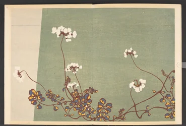 Shasei sôka môyô, Patrones de plantas y flores de la vida