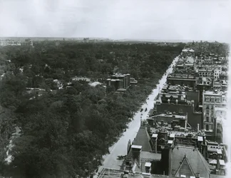 Quinta Avenida, mirando al norte desde el techo del Metropolitan Club en la Calle 61, Ciudad de Nueva York, c.1904