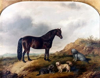 Un pony y tres terriers en un paisaje