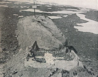 Tumba de Hansen en el Cabo Adare, 1911, 1913