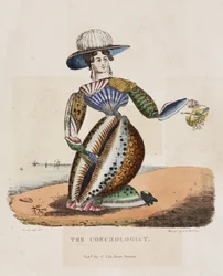 El Conquiólogo, c.1831