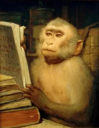 Mono leyendo